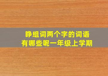 睁组词两个字的词语有哪些呢一年级上学期