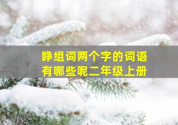 睁组词两个字的词语有哪些呢二年级上册