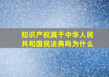 知识产权属于中华人民共和国民法典吗为什么