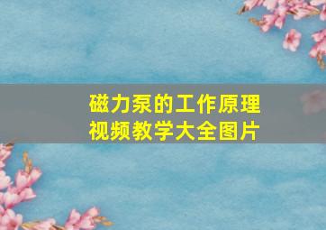 磁力泵的工作原理视频教学大全图片