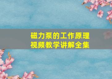 磁力泵的工作原理视频教学讲解全集