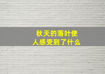 秋天的落叶使人感受到了什么