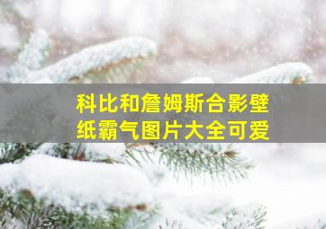 科比和詹姆斯合影壁纸霸气图片大全可爱