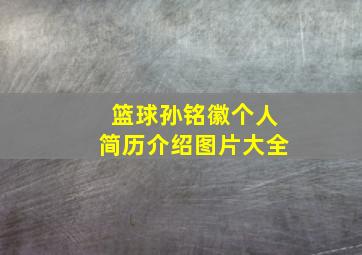 篮球孙铭徽个人简历介绍图片大全