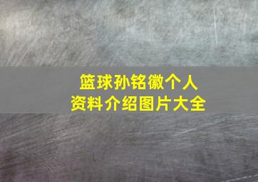 篮球孙铭徽个人资料介绍图片大全