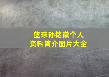 篮球孙铭徽个人资料简介图片大全