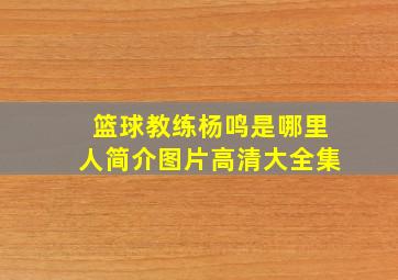 篮球教练杨鸣是哪里人简介图片高清大全集