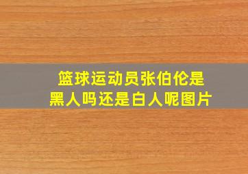 篮球运动员张伯伦是黑人吗还是白人呢图片