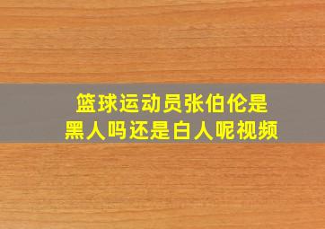 篮球运动员张伯伦是黑人吗还是白人呢视频