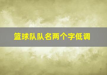 篮球队队名两个字低调