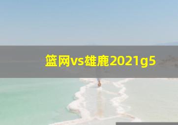 篮网vs雄鹿2021g5