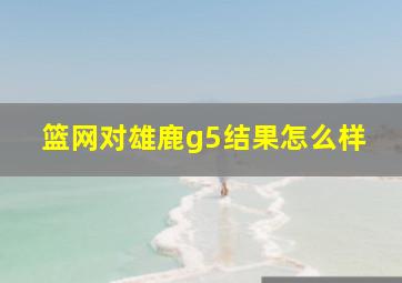 篮网对雄鹿g5结果怎么样