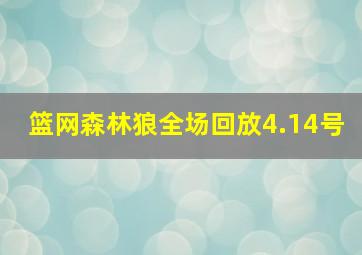 篮网森林狼全场回放4.14号