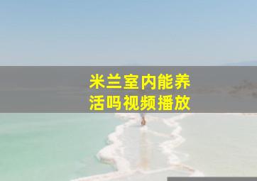 米兰室内能养活吗视频播放