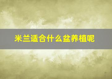 米兰适合什么盆养植呢