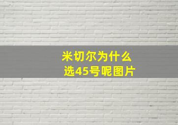 米切尔为什么选45号呢图片