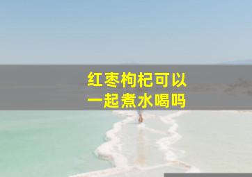 红枣枸杞可以一起煮水喝吗