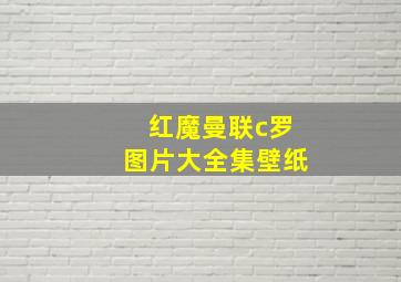 红魔曼联c罗图片大全集壁纸