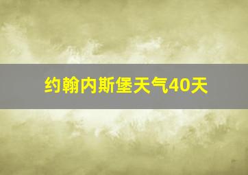 约翰内斯堡天气40天