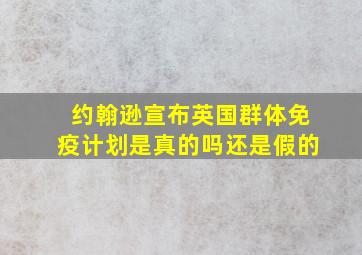 约翰逊宣布英国群体免疫计划是真的吗还是假的