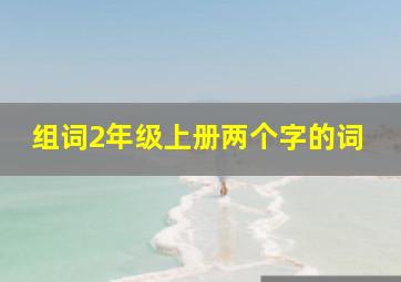 组词2年级上册两个字的词