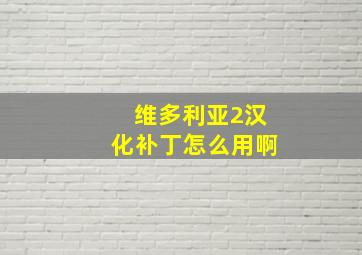 维多利亚2汉化补丁怎么用啊