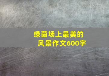 绿茵场上最美的风景作文600字