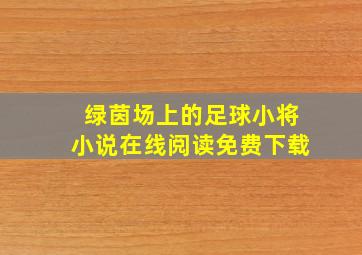 绿茵场上的足球小将小说在线阅读免费下载