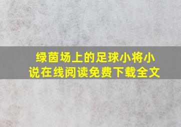 绿茵场上的足球小将小说在线阅读免费下载全文