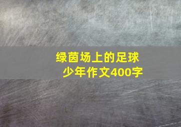 绿茵场上的足球少年作文400字