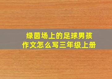 绿茵场上的足球男孩作文怎么写三年级上册