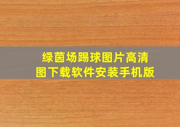 绿茵场踢球图片高清图下载软件安装手机版