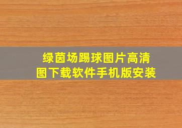 绿茵场踢球图片高清图下载软件手机版安装