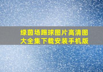 绿茵场踢球图片高清图大全集下载安装手机版