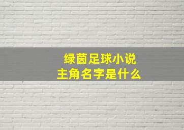 绿茵足球小说主角名字是什么