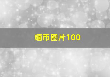 缅币图片100