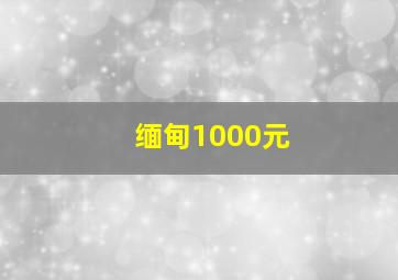 缅甸1000元