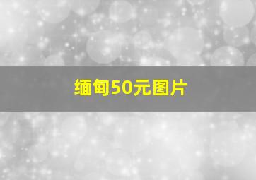 缅甸50元图片