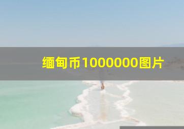 缅甸币1000000图片