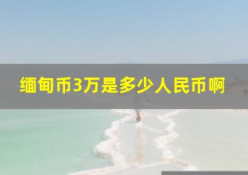 缅甸币3万是多少人民币啊