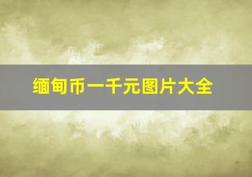 缅甸币一千元图片大全