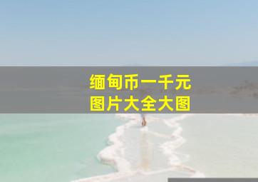 缅甸币一千元图片大全大图