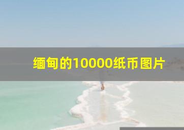 缅甸的10000纸币图片