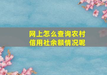 网上怎么查询农村信用社余额情况呢