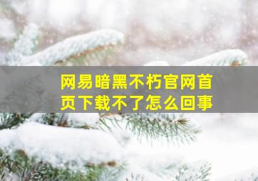 网易暗黑不朽官网首页下载不了怎么回事