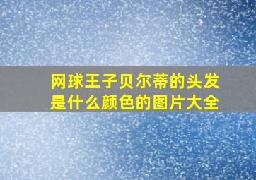 网球王子贝尔蒂的头发是什么颜色的图片大全