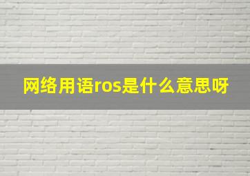 网络用语ros是什么意思呀