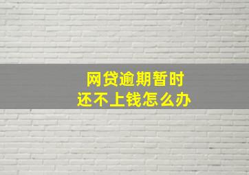 网贷逾期暂时还不上钱怎么办