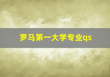 罗马第一大学专业qs