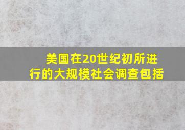 美国在20世纪初所进行的大规模社会调查包括